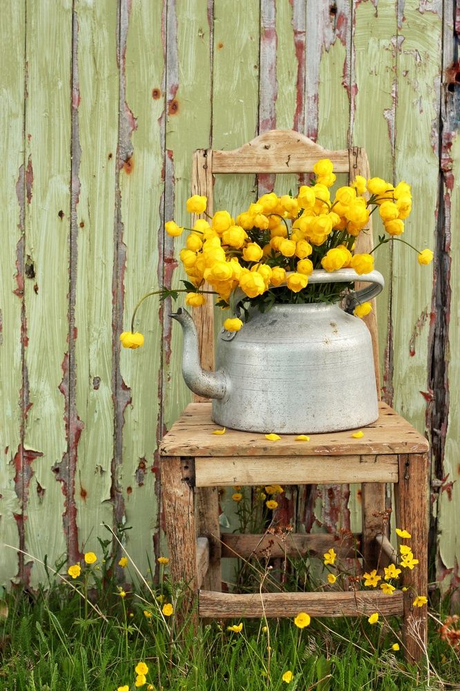 Photograph by Inna Kristiansen