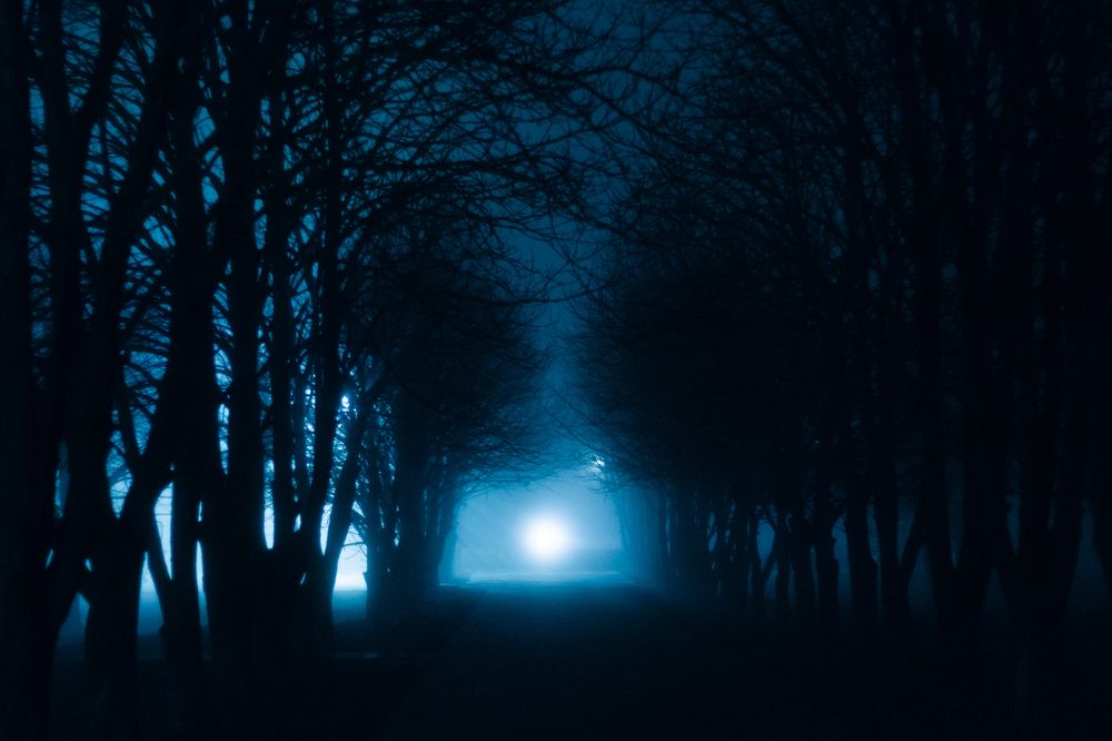 Photograph by Анастасия Галенко