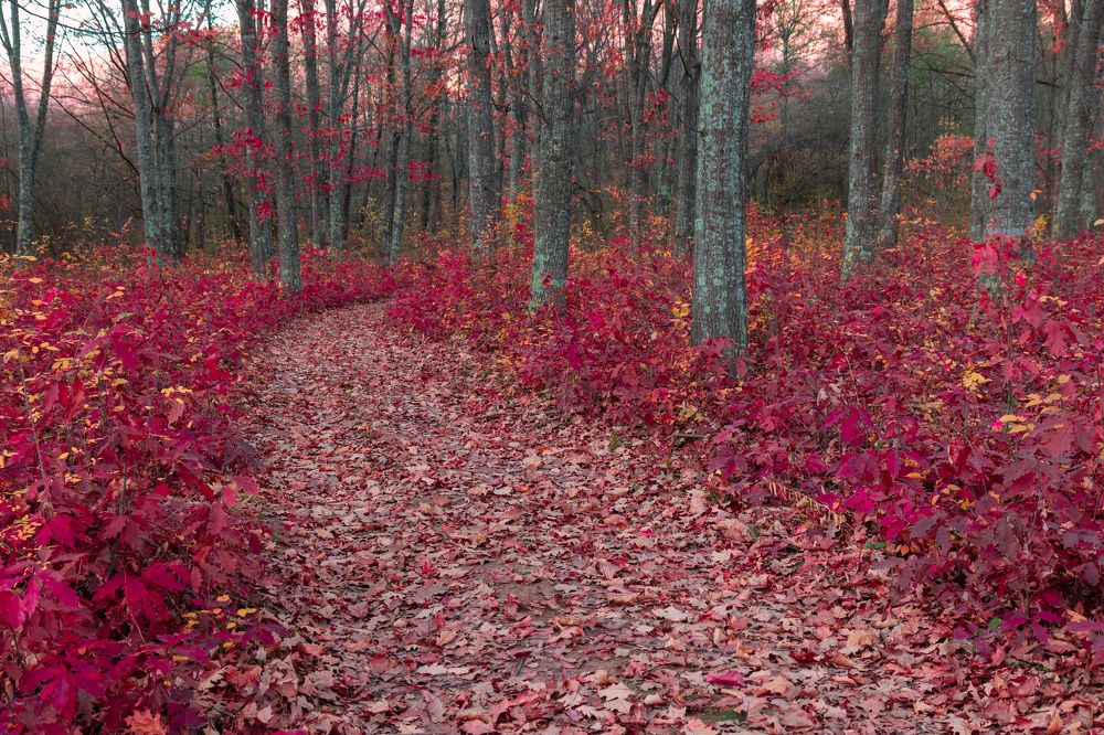 Photograph by Анастасия Галенко