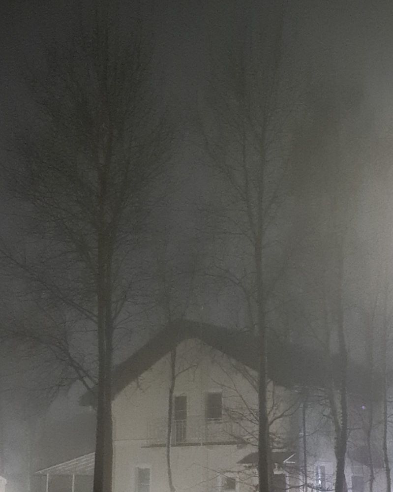 Дом в тумане