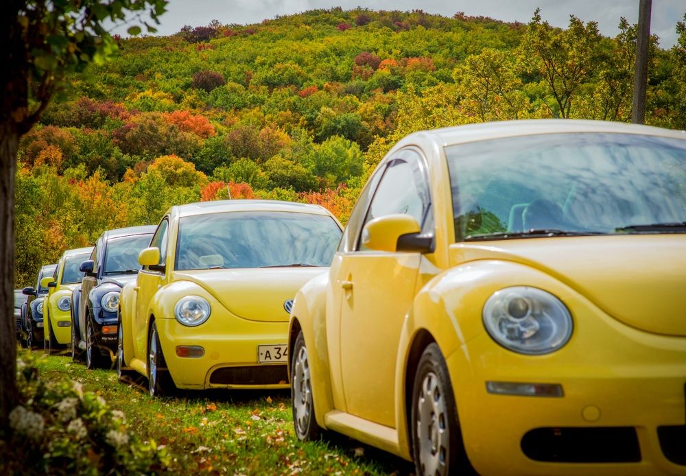 Photograph by Antonina Marchenko