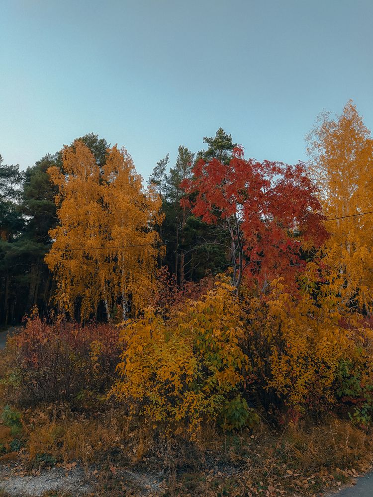 Photograph by Violetta Peskova