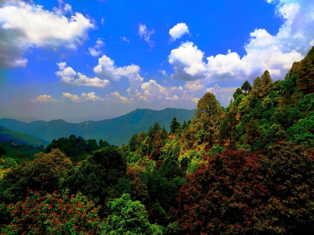 Photograph by Kapil Singh