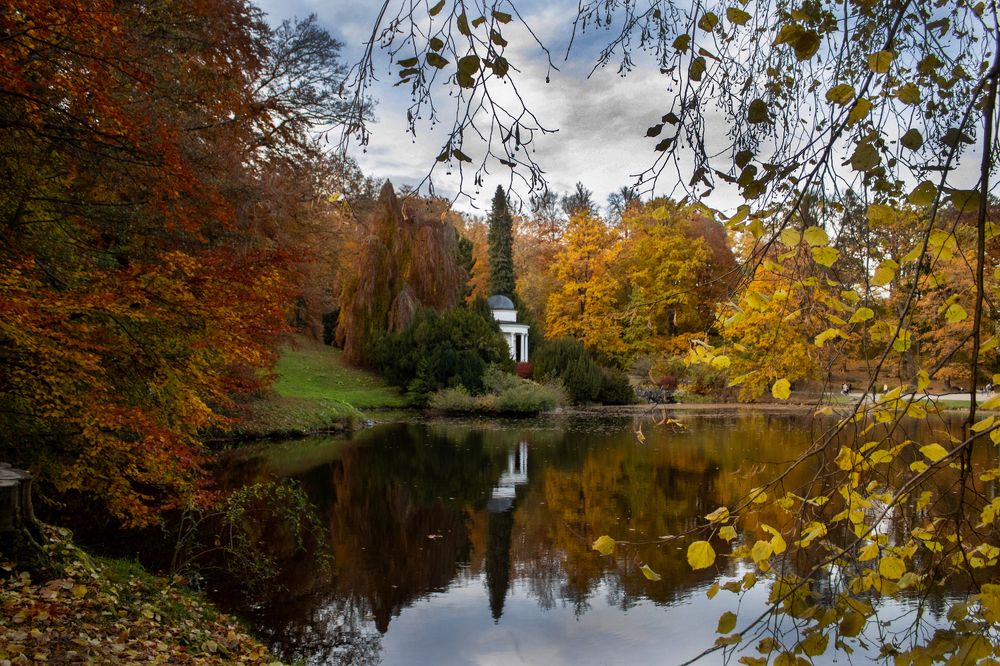 Colorful autumn in the park