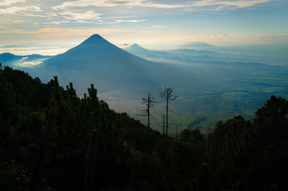 Фотография автора David Vargas