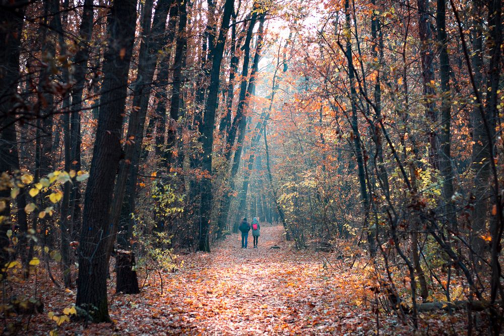 Photograph by Radoslav Bonev