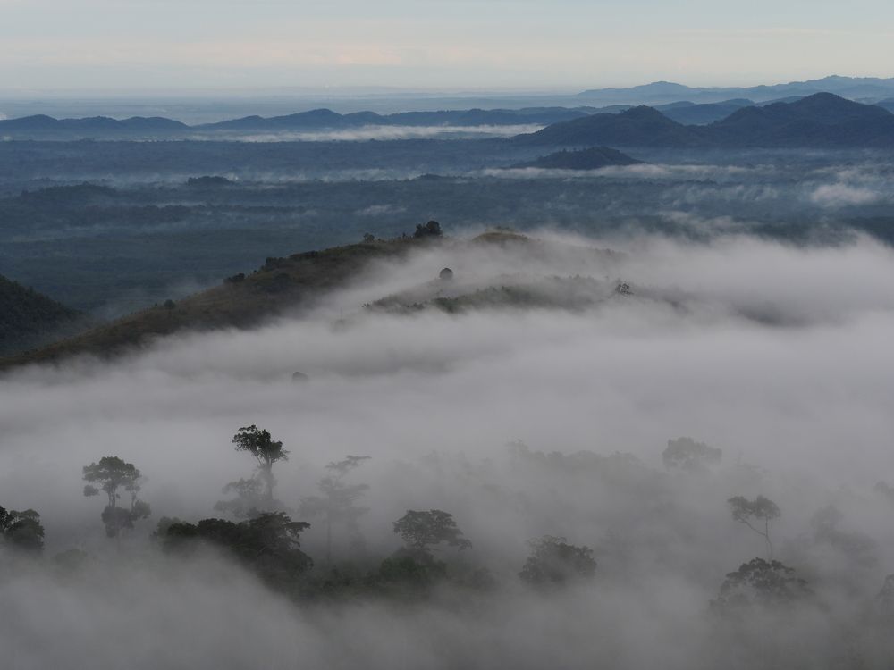 Photograph by Laz Lazuardi