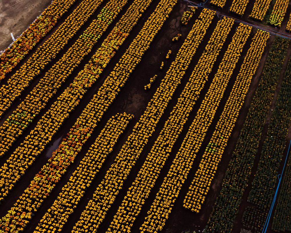 Photograph by Cesar Torres