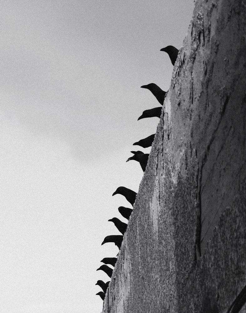 Photograph by Mostafa abdelhamid