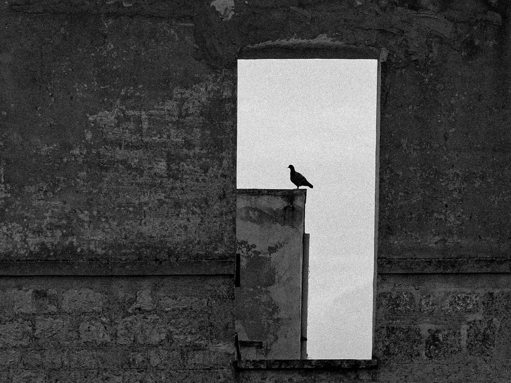 Photograph by Giuseppe Catalano