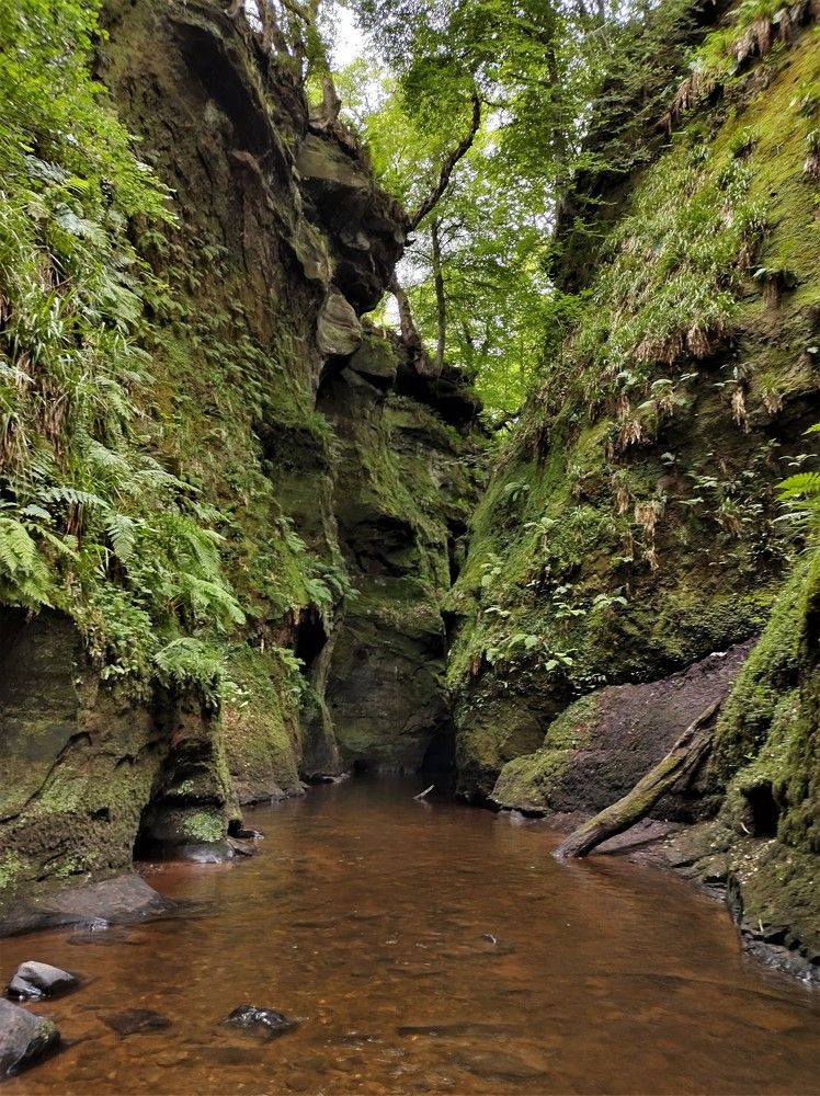 Photograph by Раиса Ламли