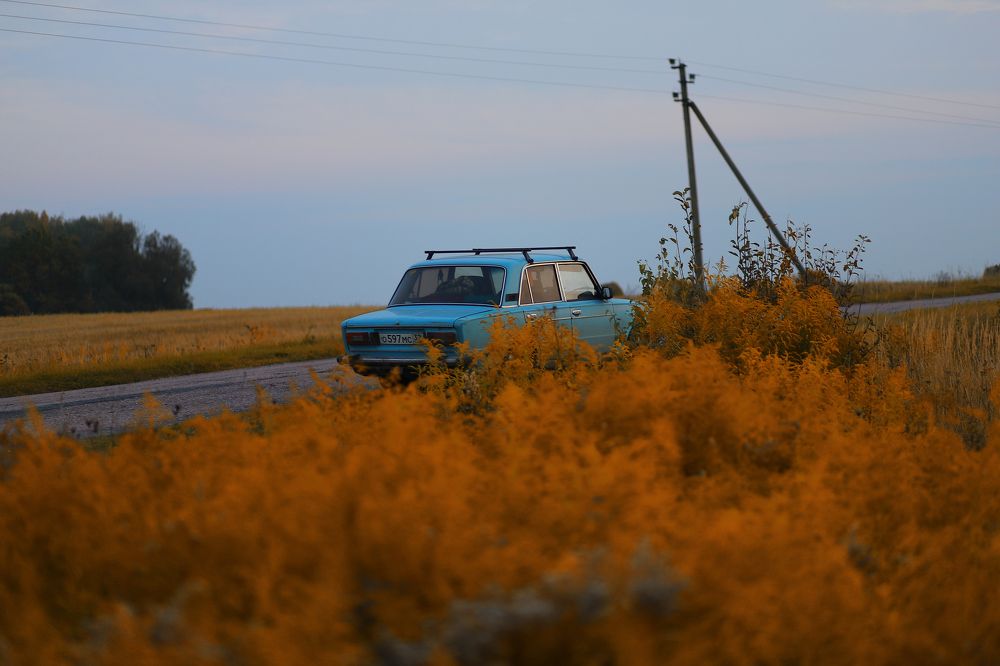 Photograph by Дарья Заводцова