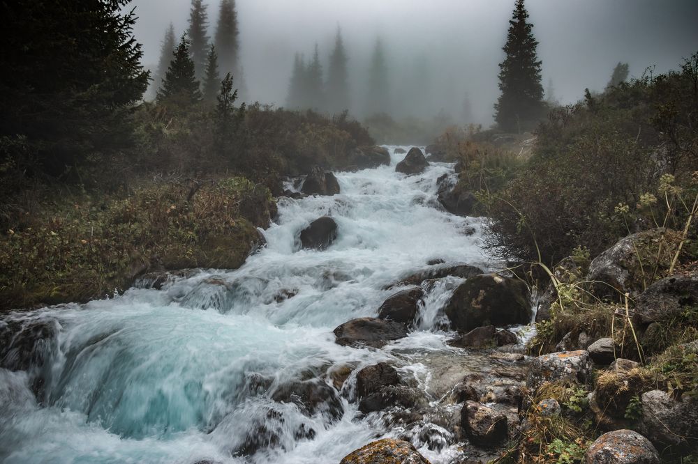 Photograph by Sergei Kidryasov