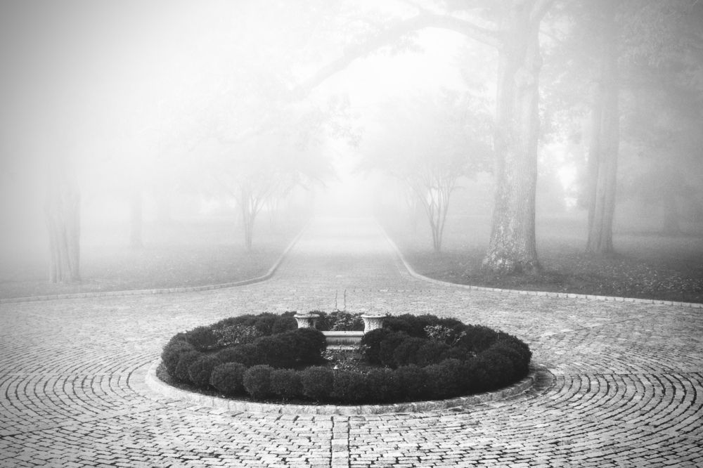 Photograph by Lisa Watkins