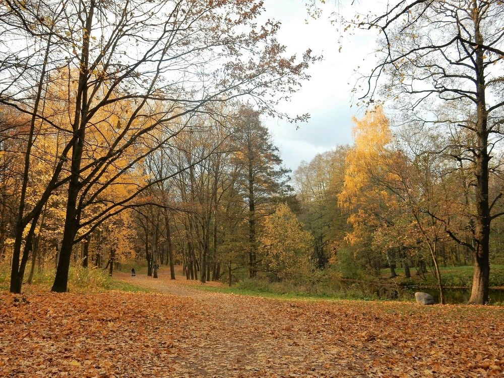Photograph by Елена Гуляева