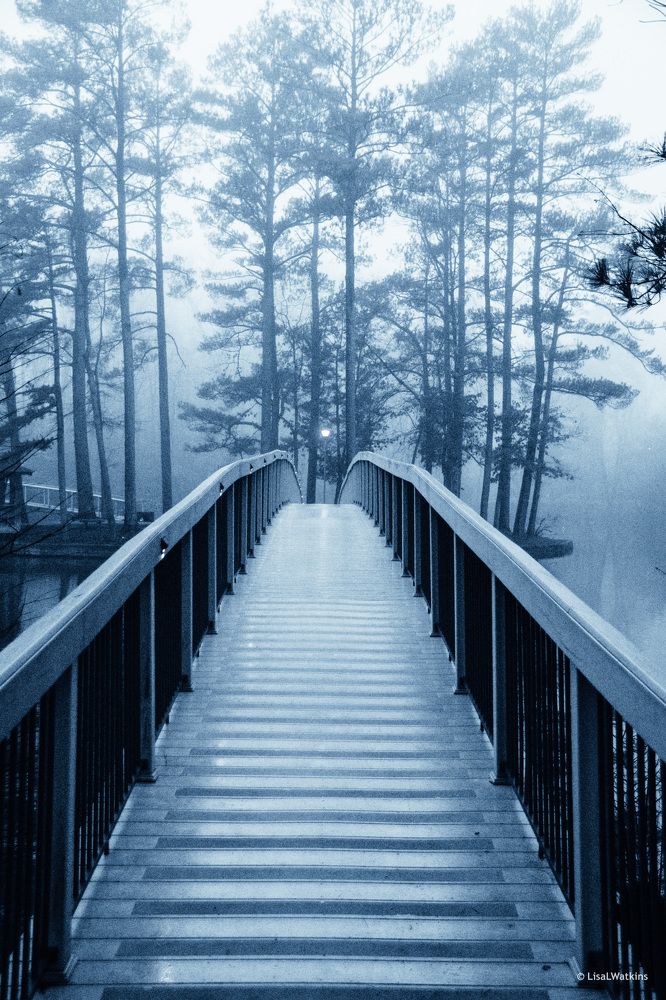 Photograph by Lisa Watkins