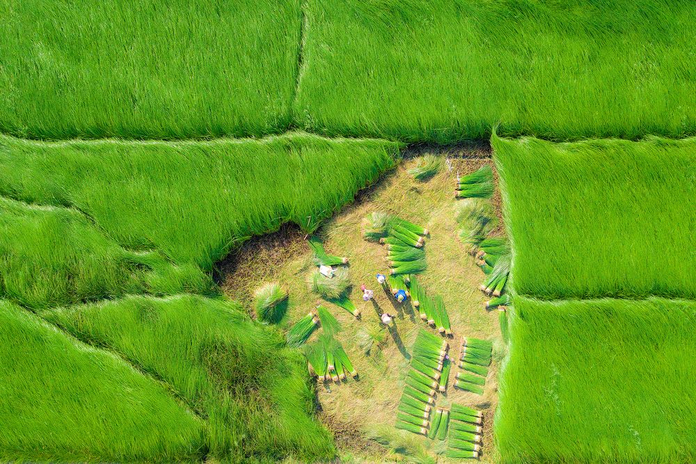 Photograph by Van Nguyen