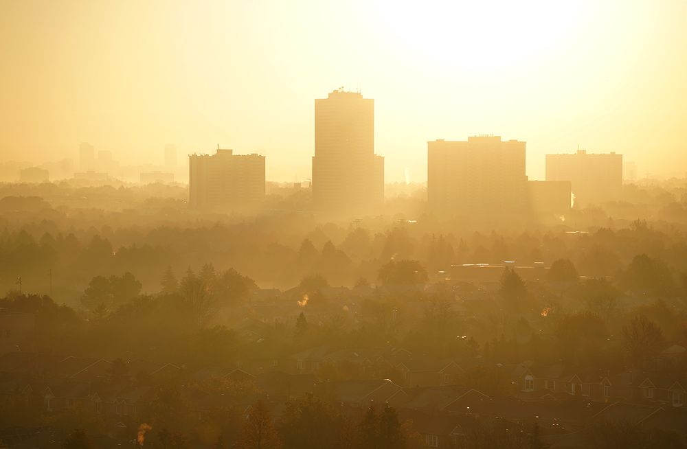 Photograph by Liliana Grup