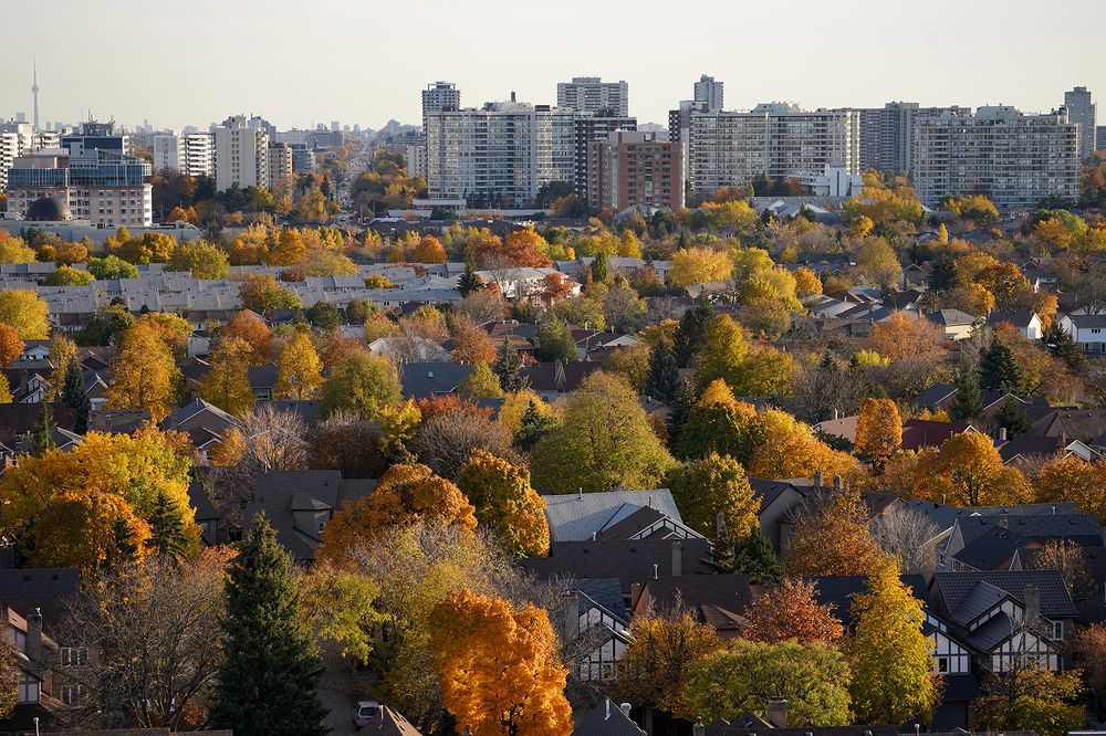 Photograph by Liliana Grup