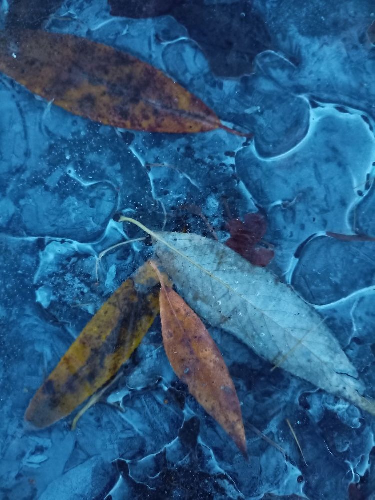 Фотография автора Татьяна Шахова