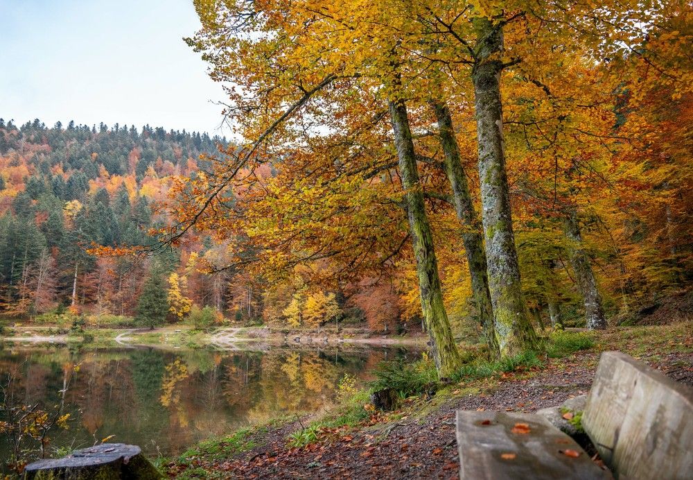 Photograph by Valentina Acrement