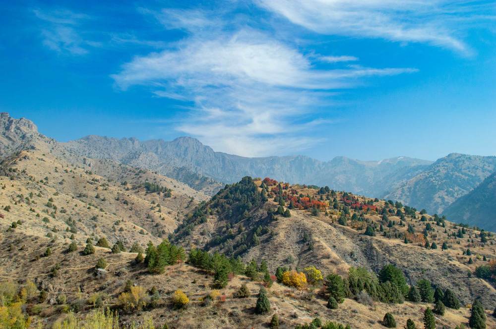 Photograph by Ruslan Ruslan