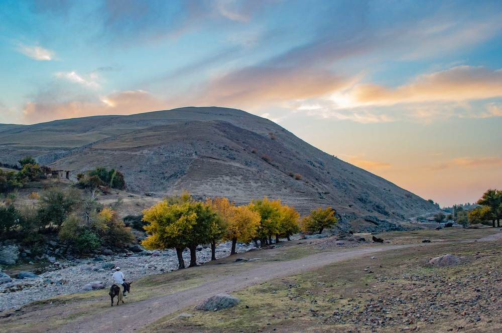 Photograph by Ruslan Ruslan