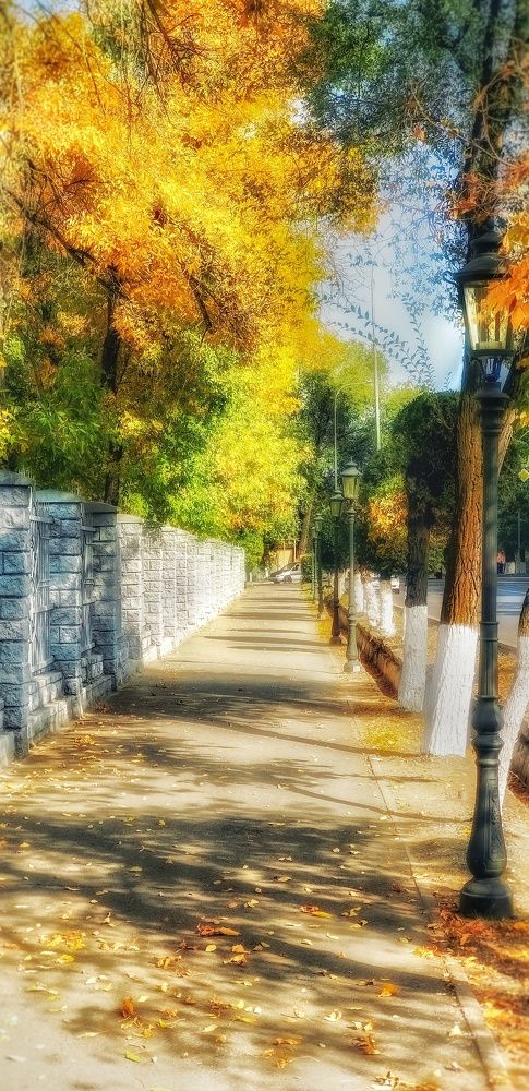 Фотография автора Иван