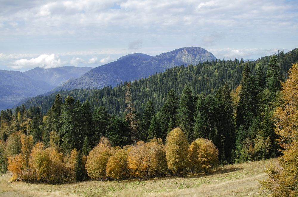 Фотография автора Людмила Куприянова