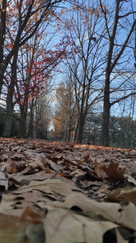 Photograph by Елизавета Можельская