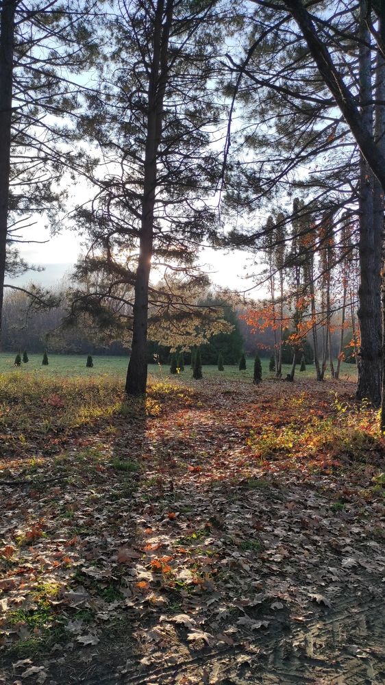 Photograph by Елизавета Можельская