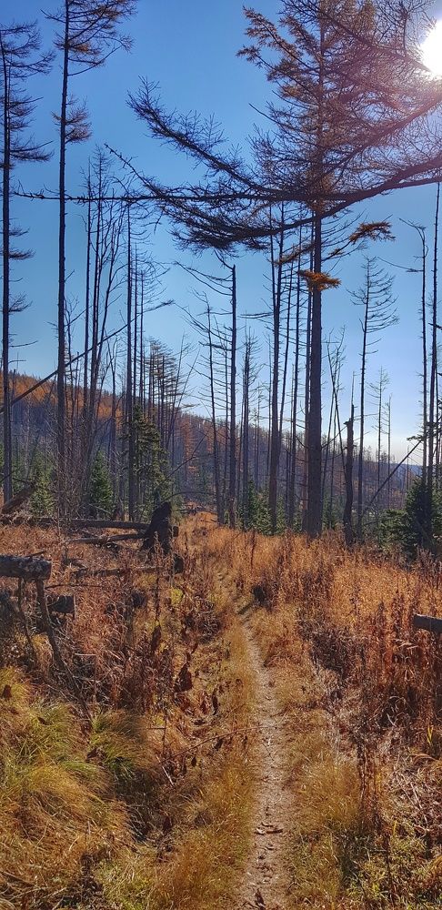 Photograph by ЕЛЕНА