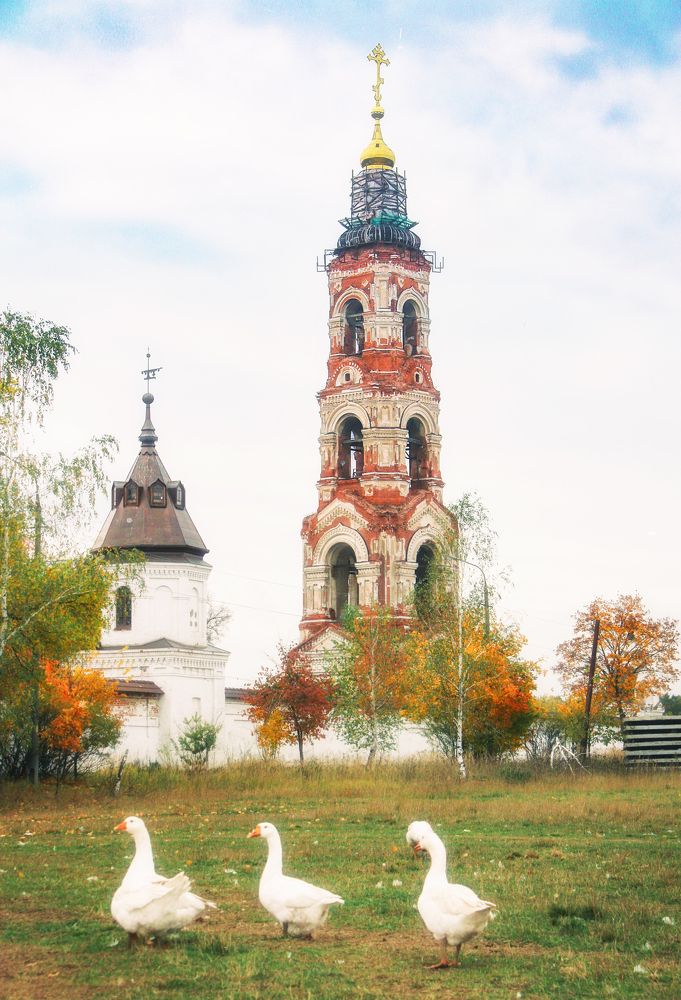 Photograph by Светлана Лапшова