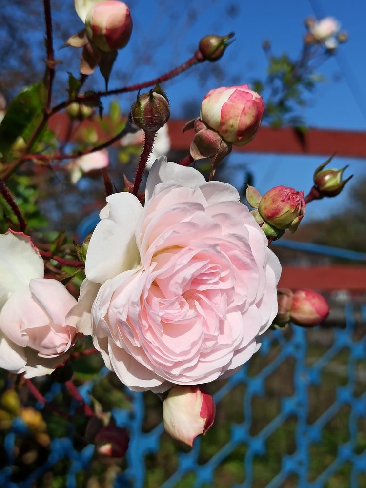 Фотография автора Татьяна Долгушева