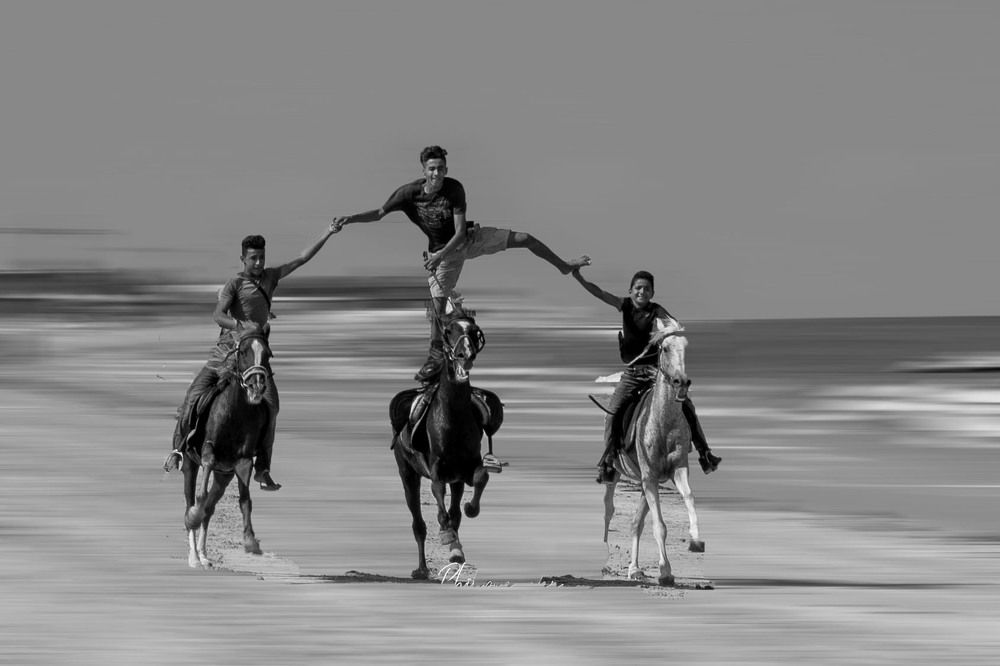 Fantasia on the Beach