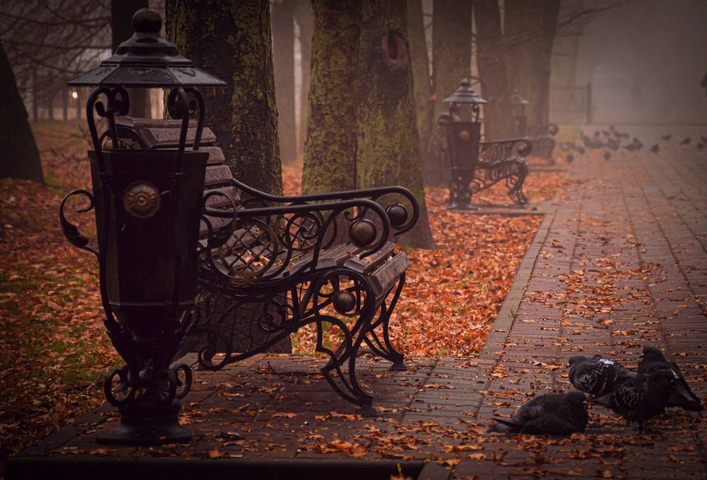 Photograph by Вячеслав Смеликов