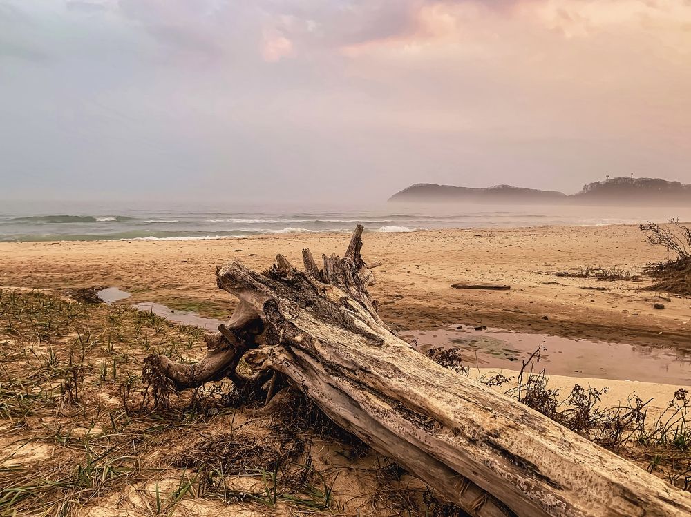 Photograph by Екатерина Л