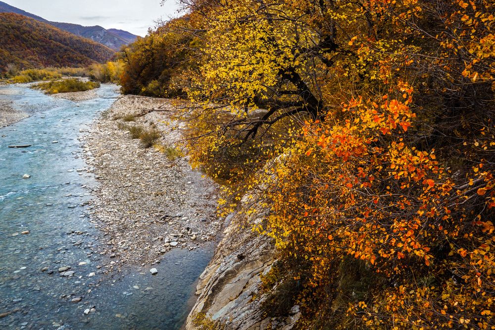 Осенняя река