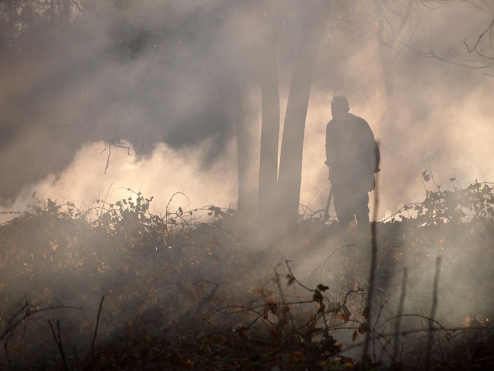 Photograph by Farid Ataei