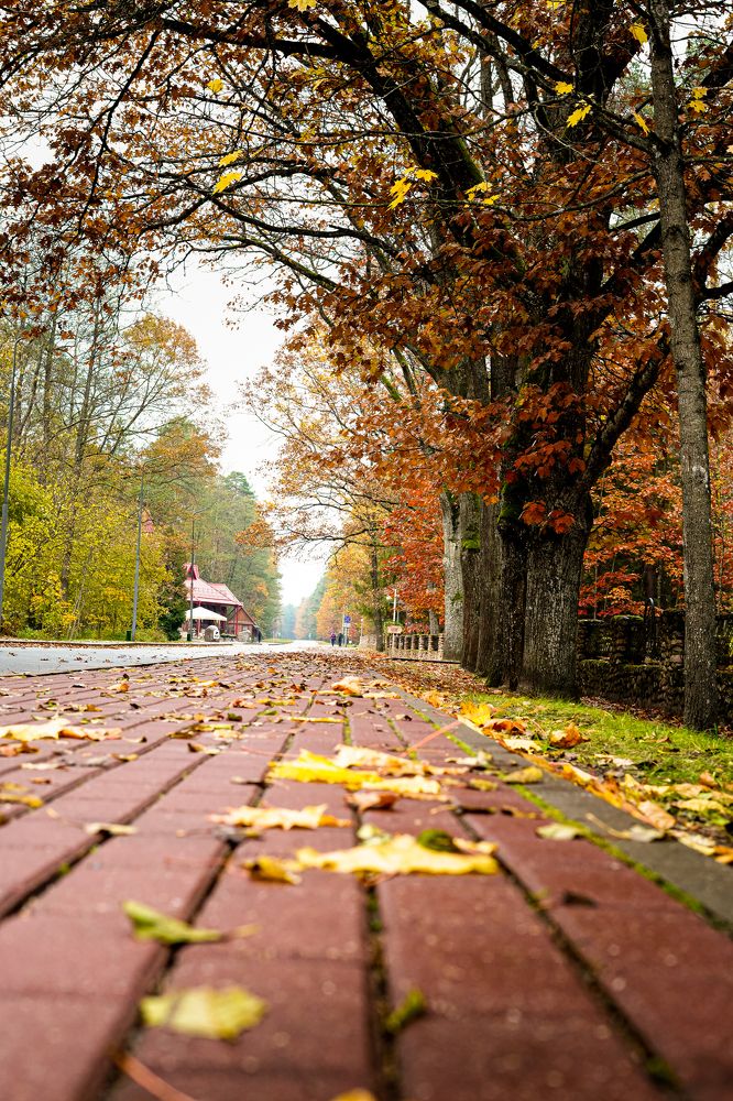 Фотография автора Наталья Кирпичёва