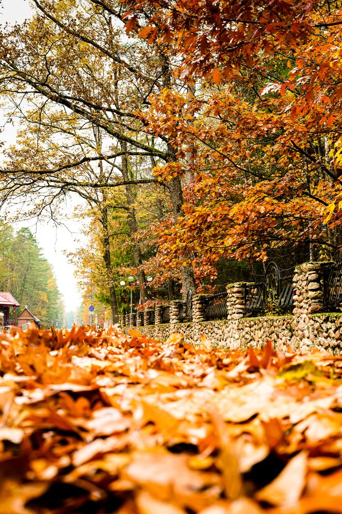 Фотография автора Наталья Кирпичёва