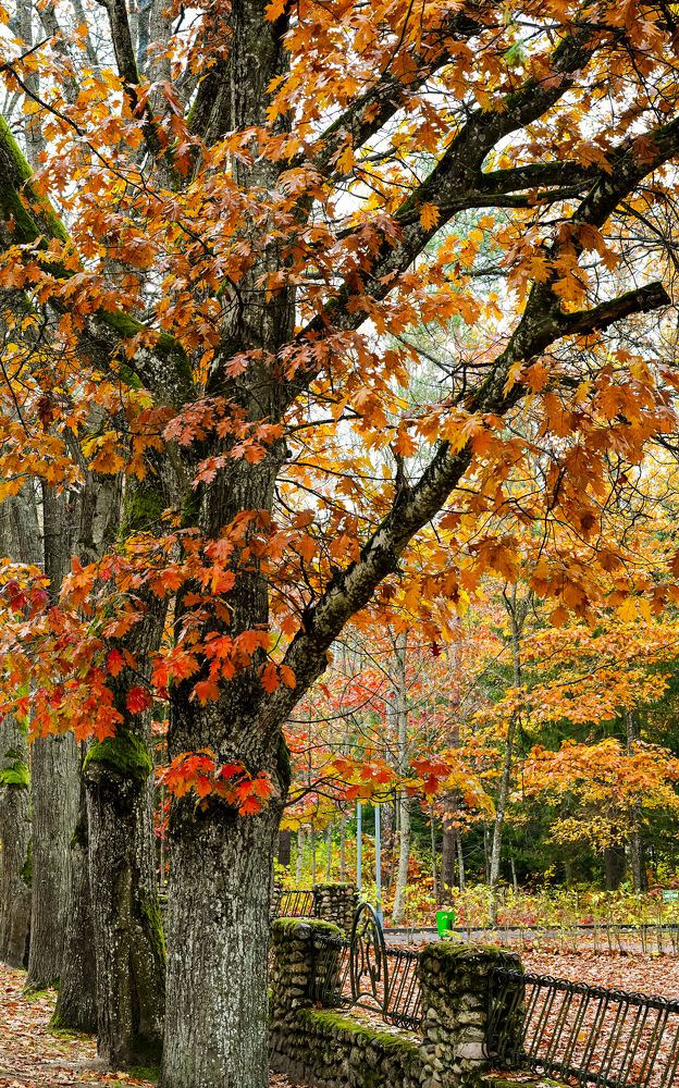 Фотография автора Наталья Кирпичёва