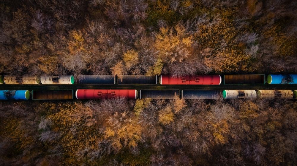 Поезда в лесу