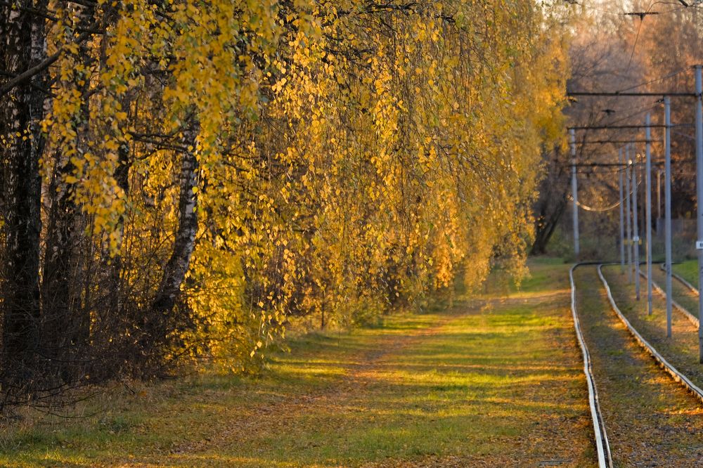 Фотография автора Александр Высоцкий