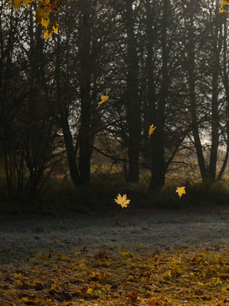 Фотография автора Александр Высоцкий