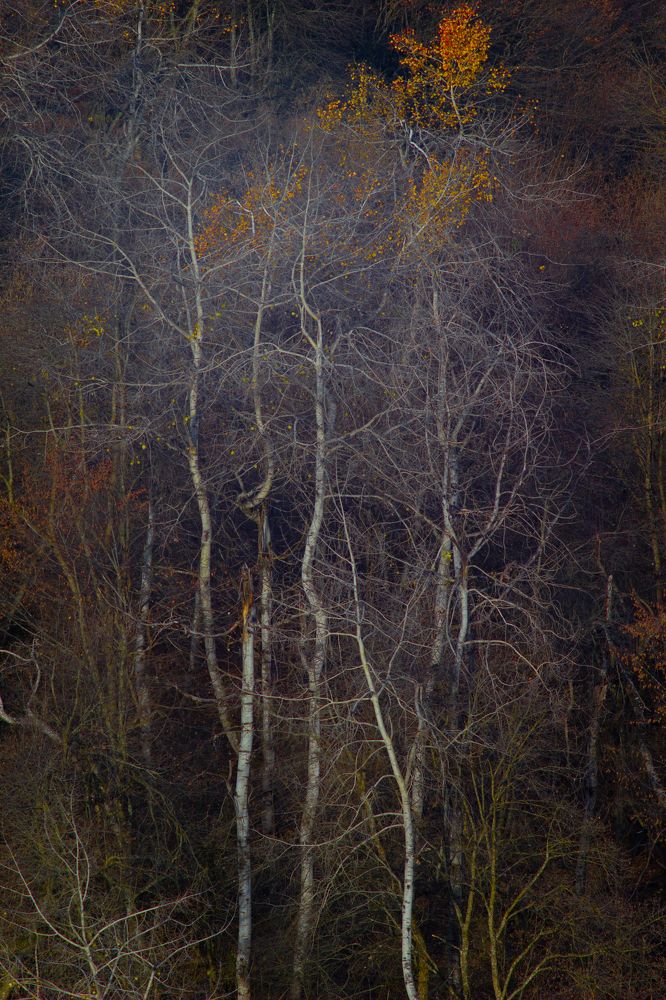 Photograph by Tamerlan