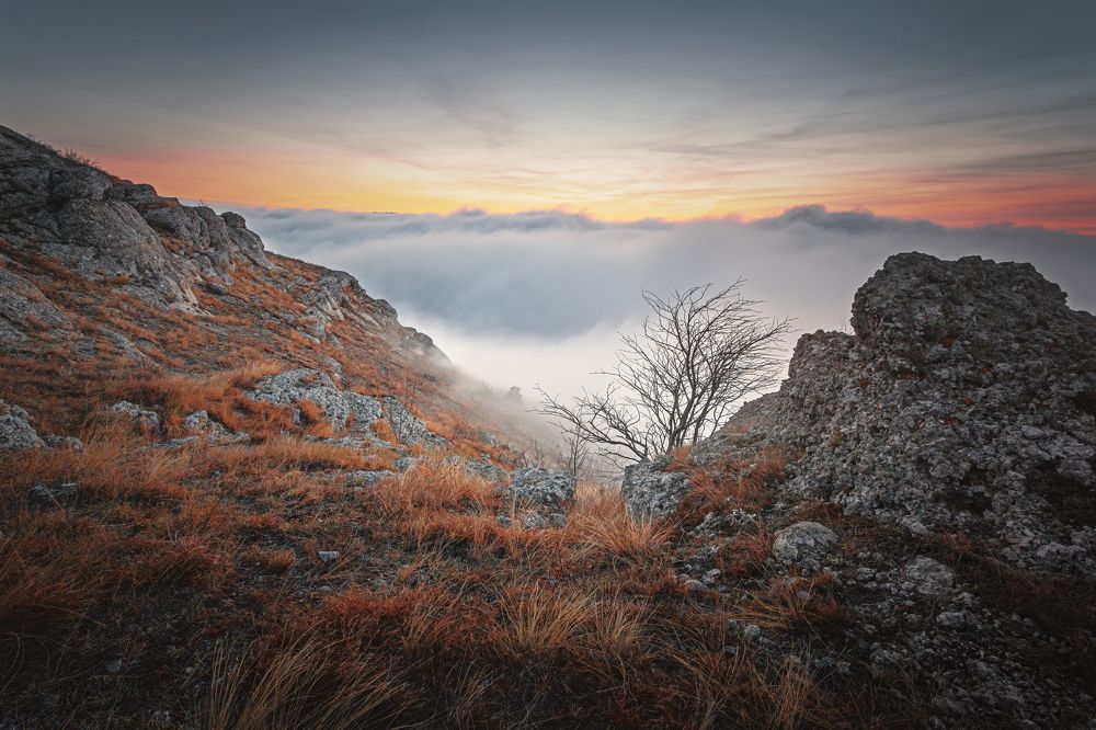 Photograph by Сергей