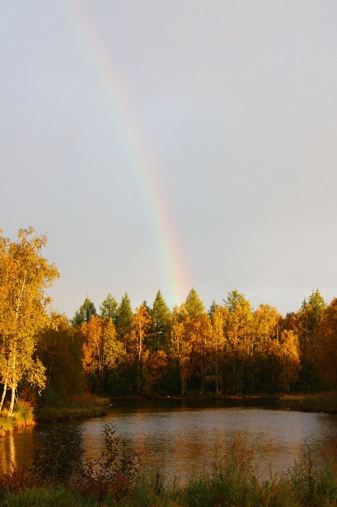 Photo #6747917