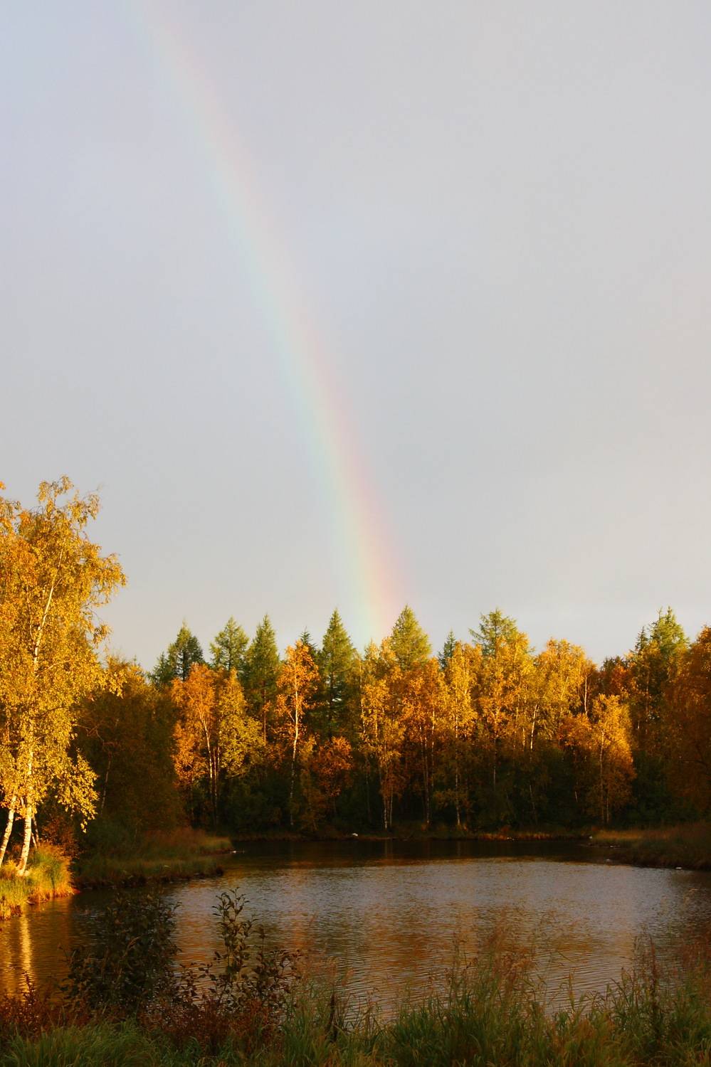 Photo #6747917