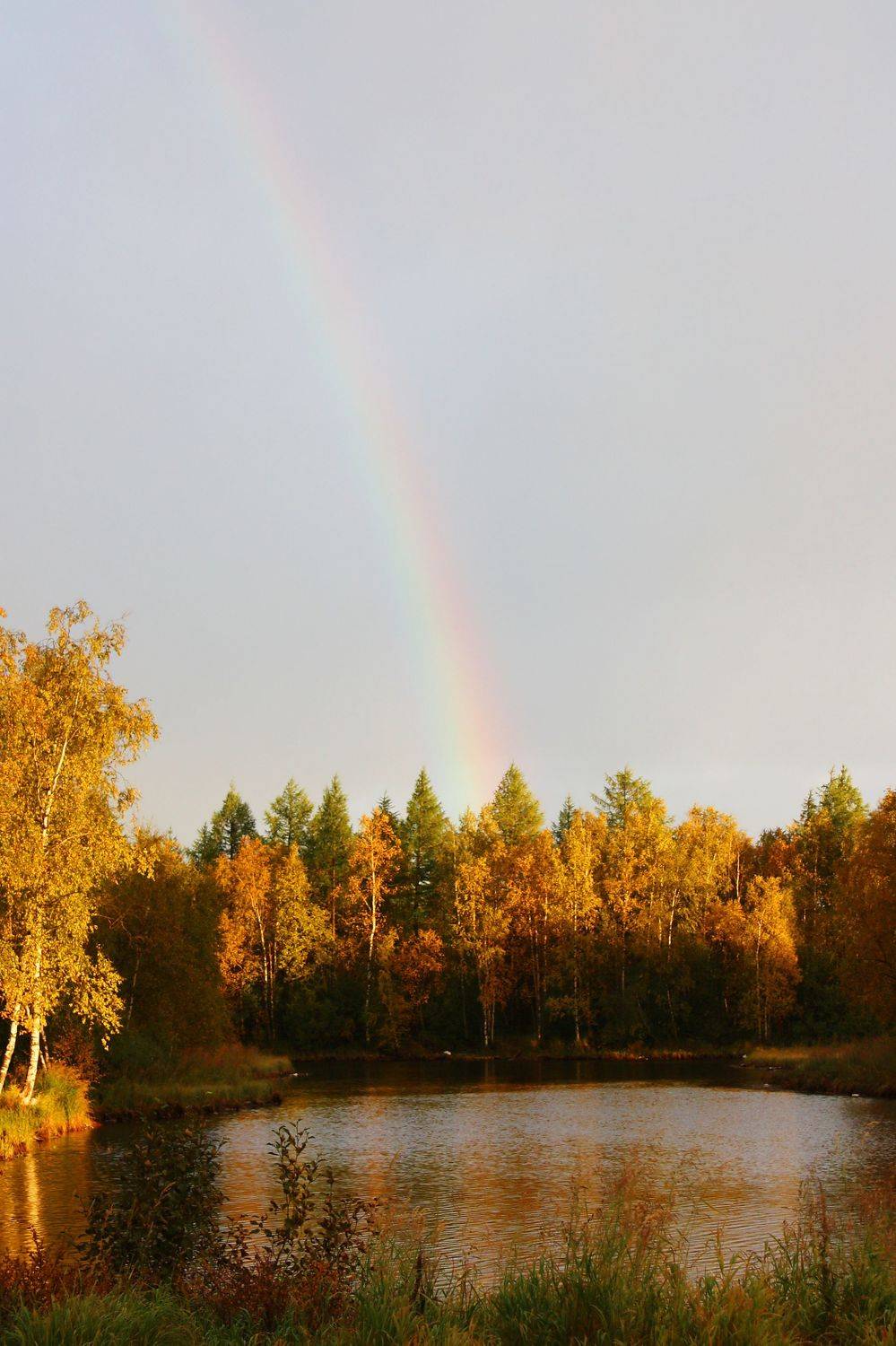 Photo #6747927